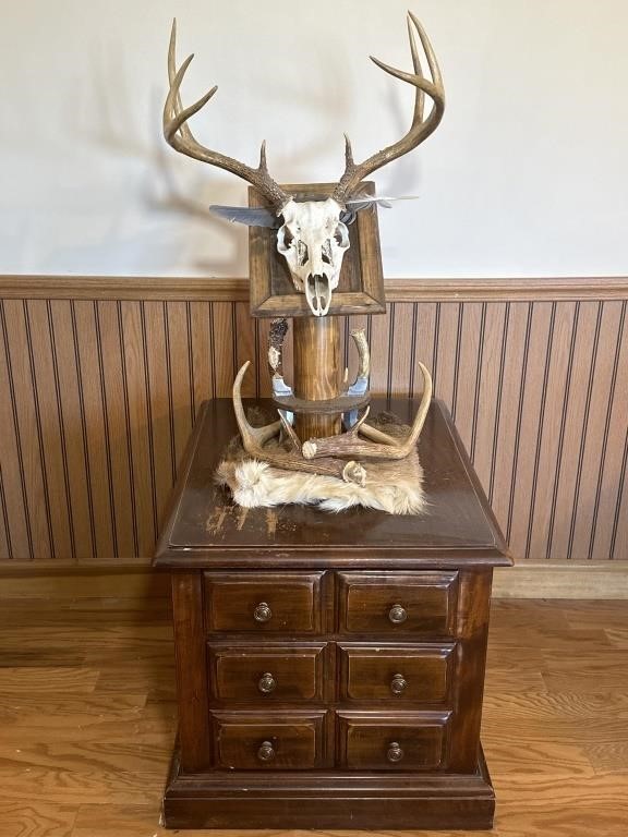 Display Table and Deer Antler Decor