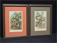 Two Framed L. Prang Chromolithographs - Hess