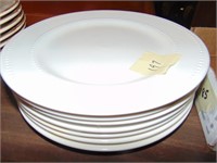 Stack of Quality Dinner Plates