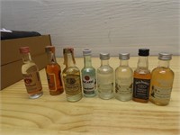 Small Assorted liquor bottles.