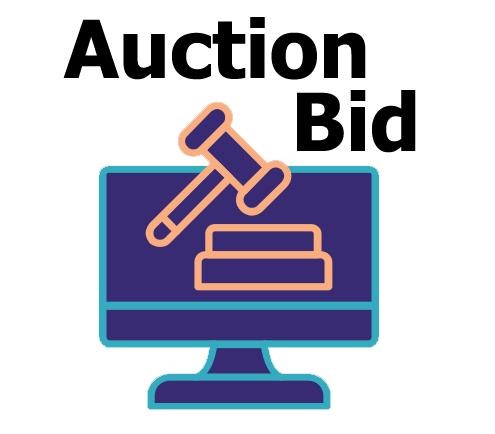 Auction Bid