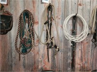 Rope halters (2), 1 bridle combo, lariat & 2 .....