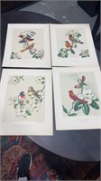 Four Bird & Flower Prints by James Gordon Irving