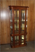 Contemporary Lighted Glass Curio Cabinet