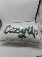 Cozy up decor pillow