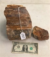 2 Pieces of Petrified Wood