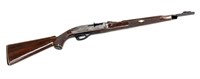 Remington Nylon 66 .22 LR Semi-Auto Rifle