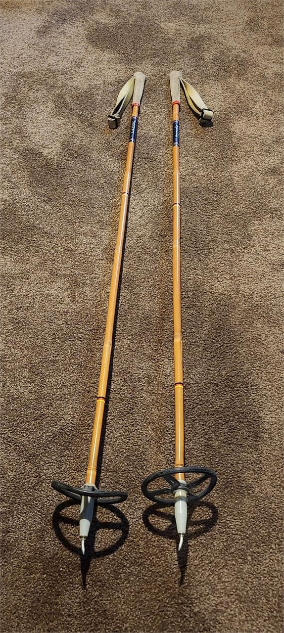 TRAK bamboo ski poles w/ leather handles