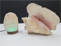 Seashell & USC Salt Lamp 4 1/2" h