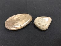 Two Polished Petoskey Stones