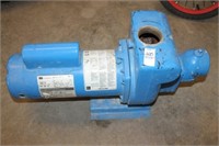 IRRIGATION PUMP (WORKS)