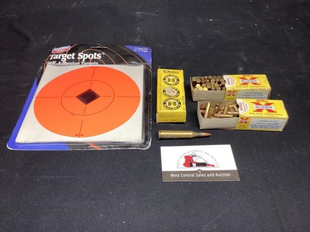 2 boxes of .22 ammo, BBs and targets