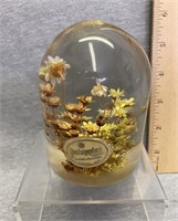 1970’S Daisyglas Dried Flower In Lucite