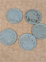 buffalo nickels