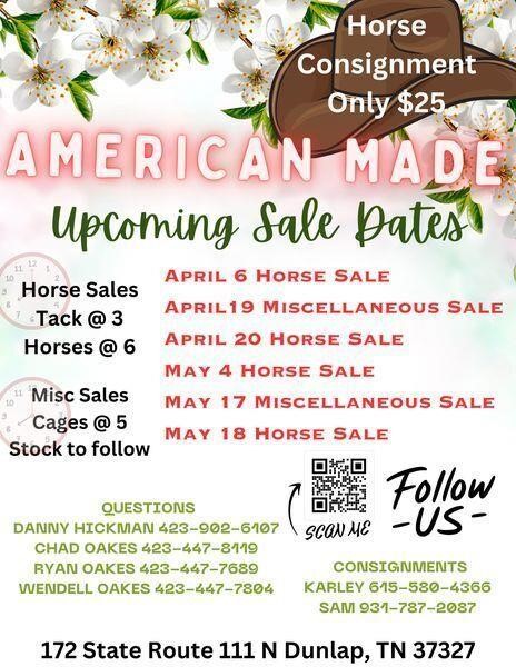June 1st American Made Horse Sale!