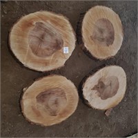 Sugar Maple Rounds