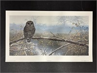 John Seerey-Lester's "Autumn Mist - Barred Owl" Li