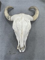 Cow Skull 27"L x 22"W