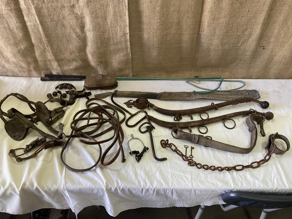 Horse lot - hames, whips, head stall, reigns,