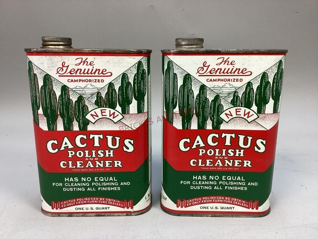 Cactus Polish And Cleaner