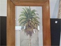 Tall Picture of Palm Tree