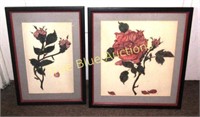 Two Framed Rose Drawings