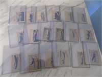 LOot 18 Daily Mail Tobacco Cards