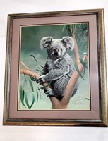 Charles Frace Koala Signed Artwork
