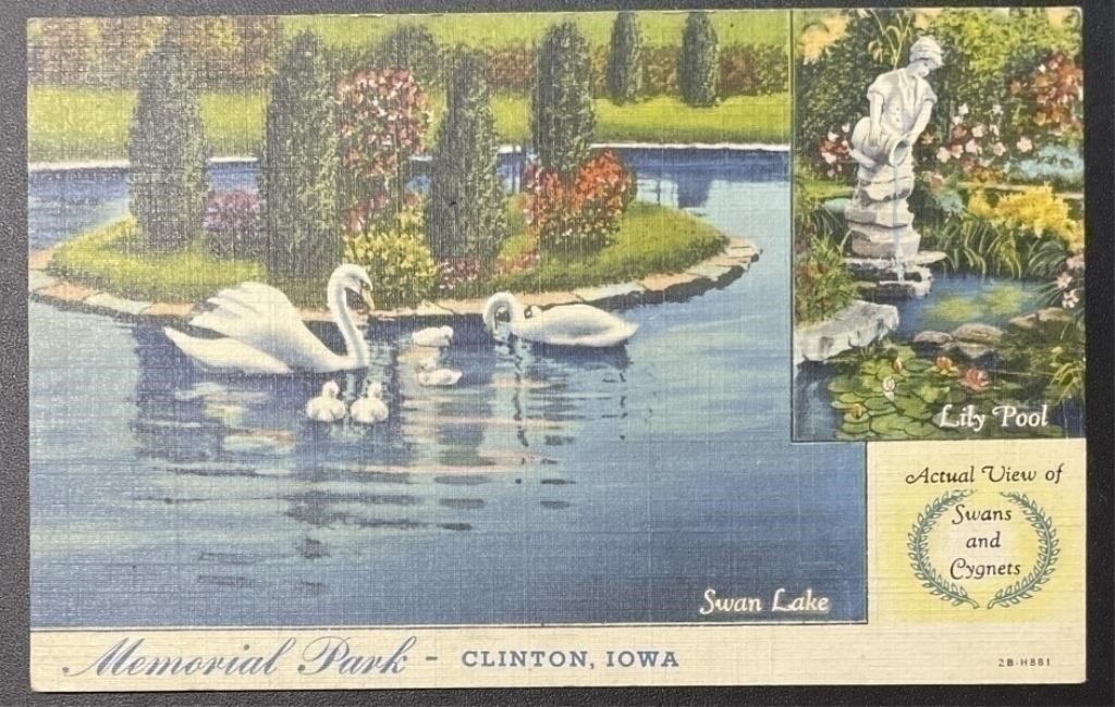 Vintage & Antique Postcards - Many have Stamps!