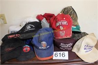 Group of Wore Hats / Ball Caps (20)