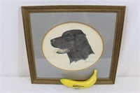 Framed Gene Murray Labrador Dog Portrait