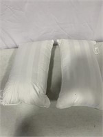 THROW PILLOW INSERTS 10X18IN 2 PIECES