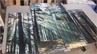 4 Piece Canvas Art Of Forest