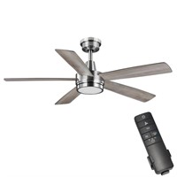 Hampton Bay Fanelee Ceiling Fan W/ Light Kit