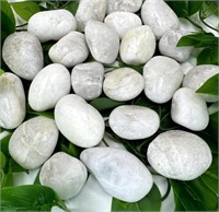 (new 1-3 Inch) PGN White River Rocks for Plants -
