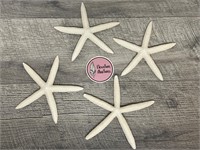 5 sea star starfish