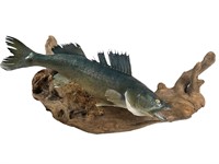 Fish Mounted On Driftwood