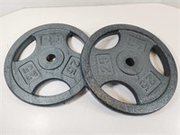 GUC 25 LBS Solid Metal Weight Plates (x2)