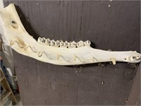 Moose Jaw Bone Key Hanger