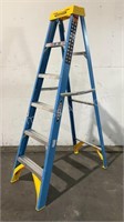 Werner 6' Fiberglass Step Ladder