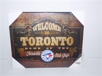 New Toronto Blue Jays Picture