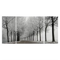 Winter Curve Canvas Multi-Piece 24" H x 48" W