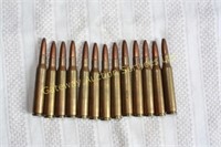 270 Winchester Bullets, 13 in total.