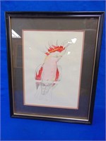 Framed Cockatoo Water Color Drawing 14" X 17"