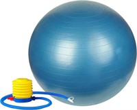 SK Depot Athletics Exercise Ball 55cm