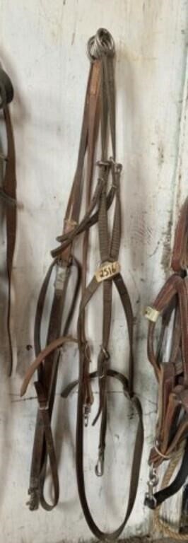 2 Leather & 1 Nylon Martingale Tie Downs