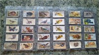 Lot of 30 Animal Tobacco Cards from the 1930s 1940