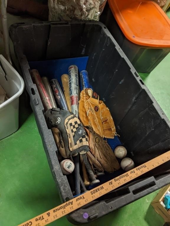 Tote w/ Baseball Bats & Gloves