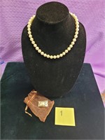 Women's Necklace and Earring Set