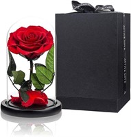 NEW / Preserved Rose Red Rose in Glass Dome